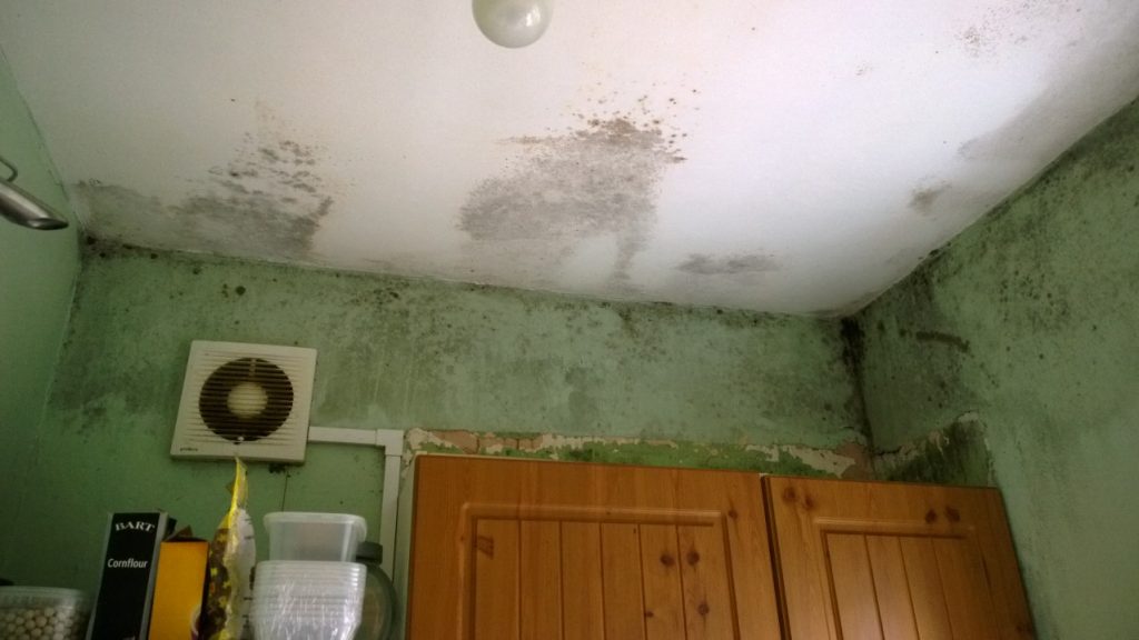 Mould-and-condensation-control