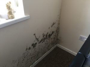 Who is to blame for Mould in a rented property?